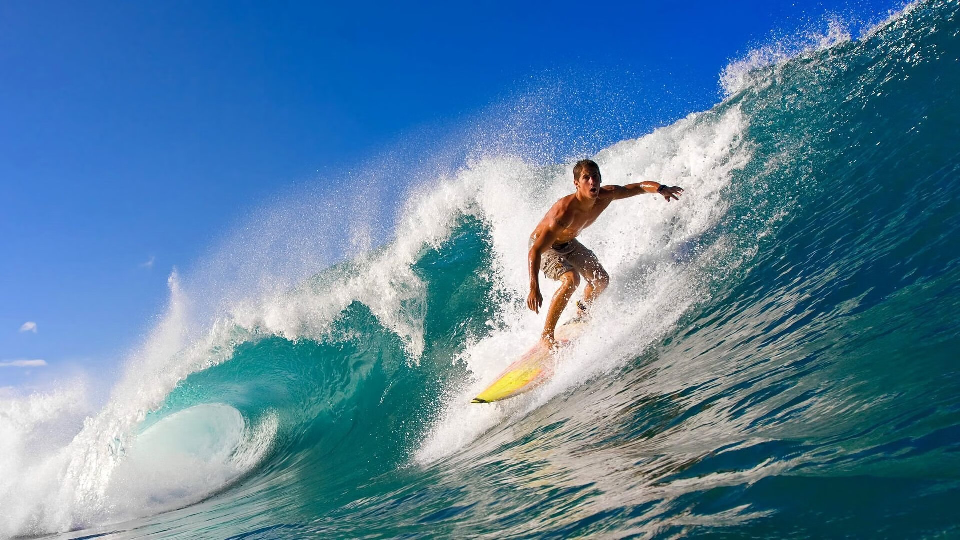 开云体育入口-塔特的传球与球场视野为袋鼠队带来更多的进攻机会